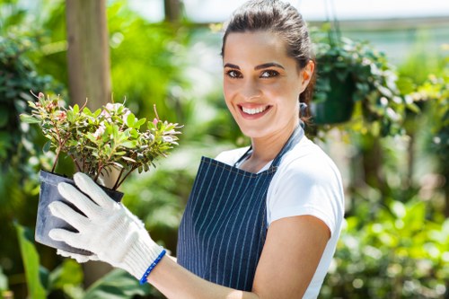 Healthy landscaped trees maintained by tree surgeons in Kingston