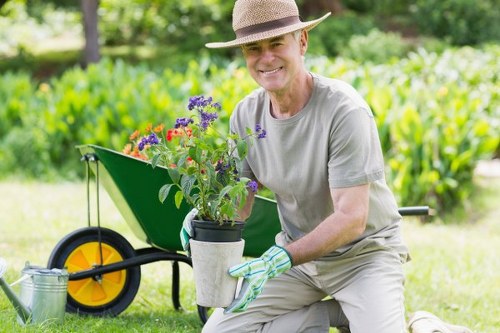 Local tree care specialists maintaining healthy trees across Kingston properties
