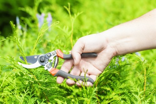 Protected checkout for Tree Surgeons Kingston payments