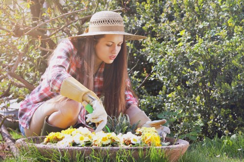 Professional tree pruning service for a mature garden tree in Kingston