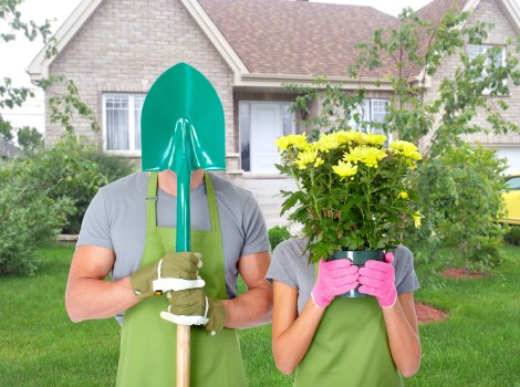 Careful crown thinning and branch removal by a Kingston tree care team