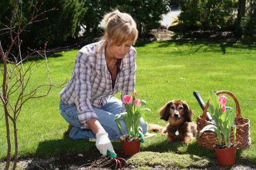 Manager assessing a tree surgery complaint outcome